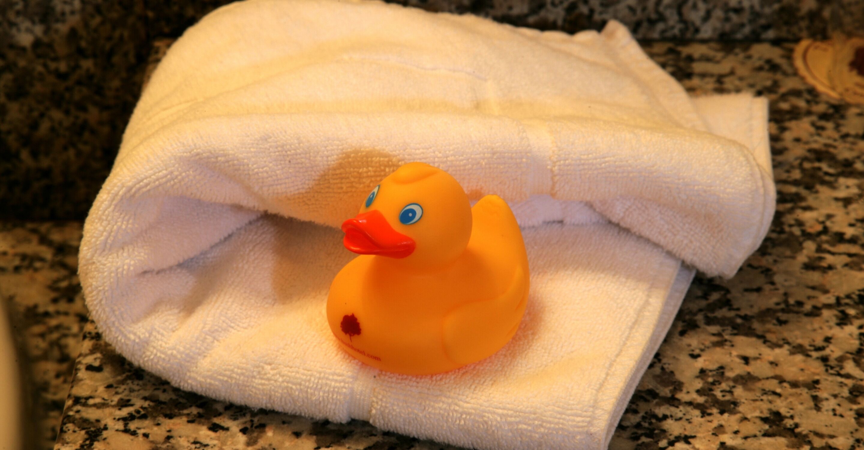 combined shower/bathtub, hair dryer, towels