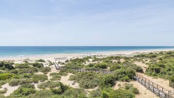 A beach with a wooden boardwalk, sandy dunes, and dense greenery.