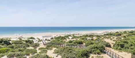 A beach with a wooden boardwalk, sandy dunes, and dense greenery.