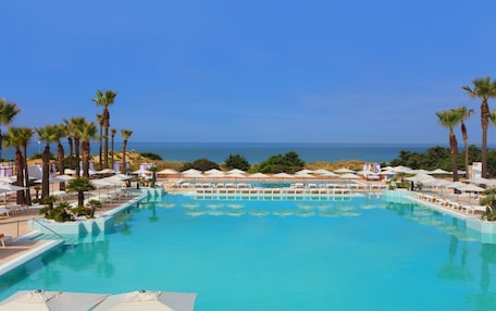 A swimming pool with lounge chairs and umbrellas, surrounded by palm trees and a view of the ocean.