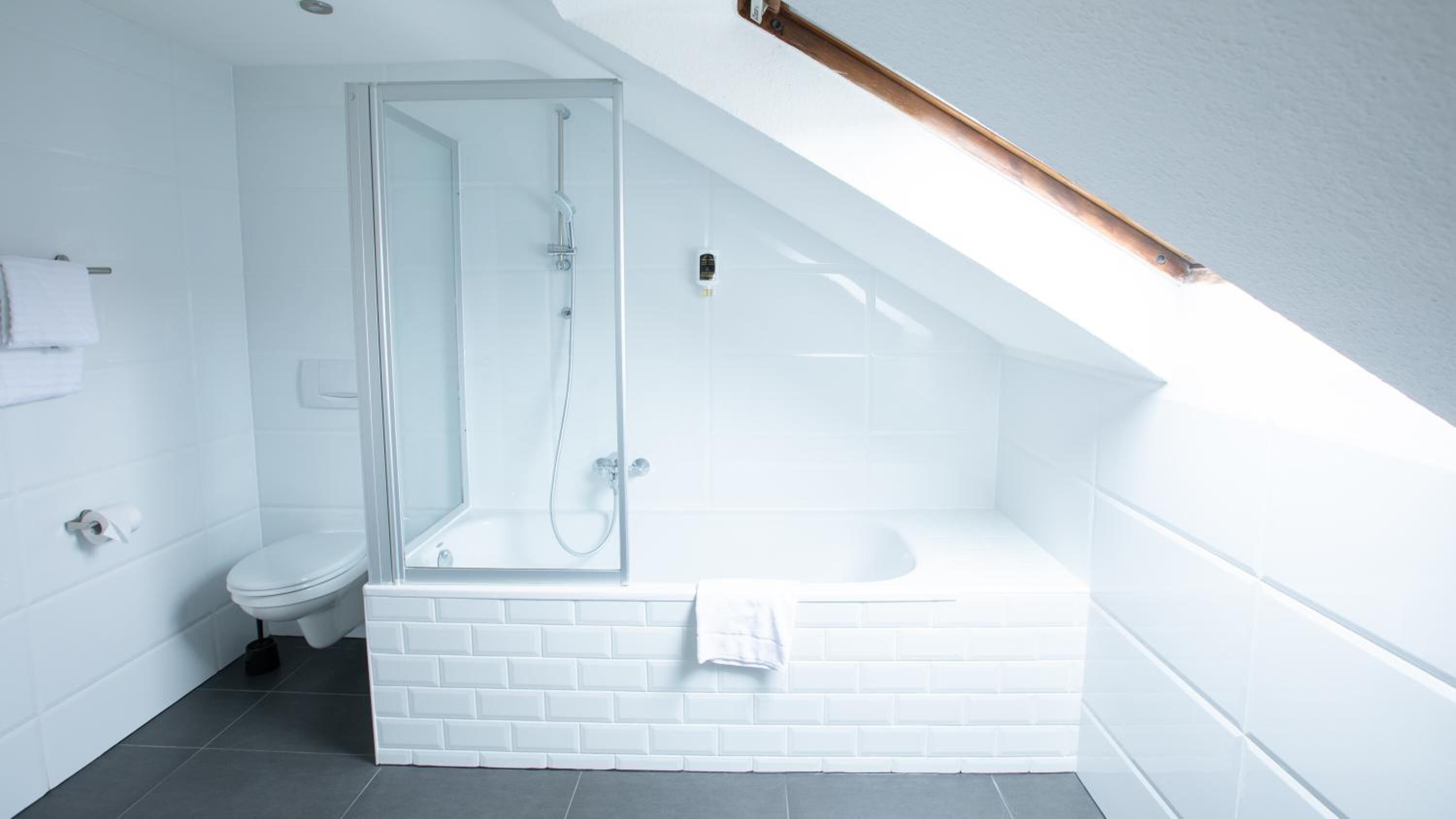 free toiletries, hair dryer, towels