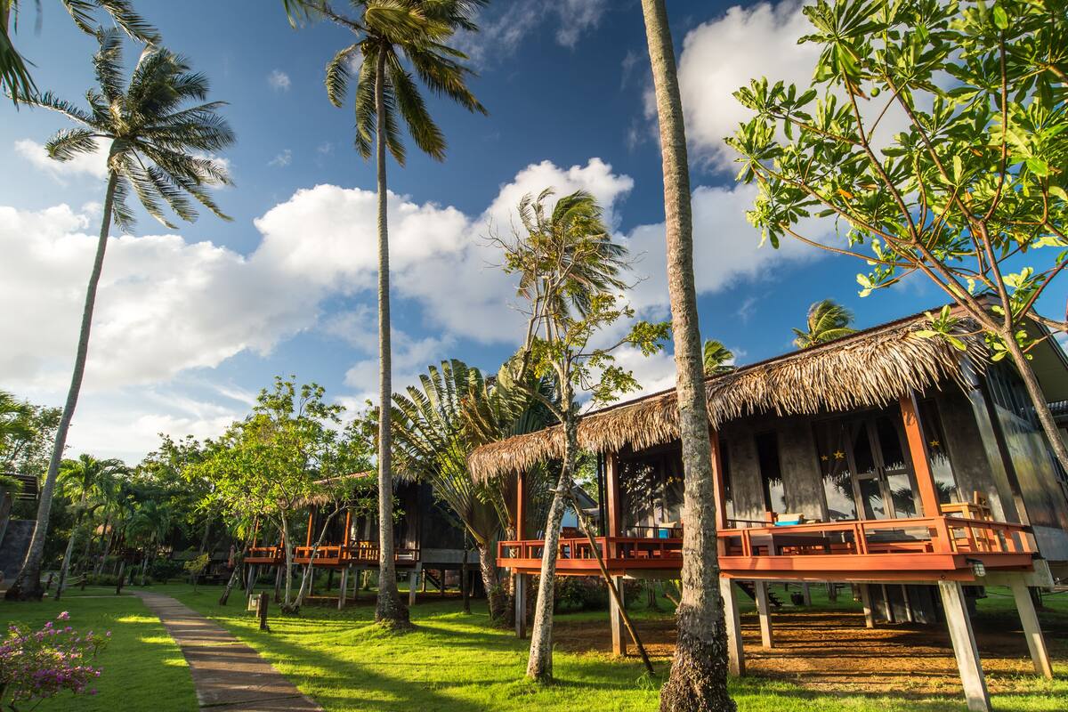 Un resort tropical con cabañas de techo de paja, palmeras y un cielo azul cristalino.