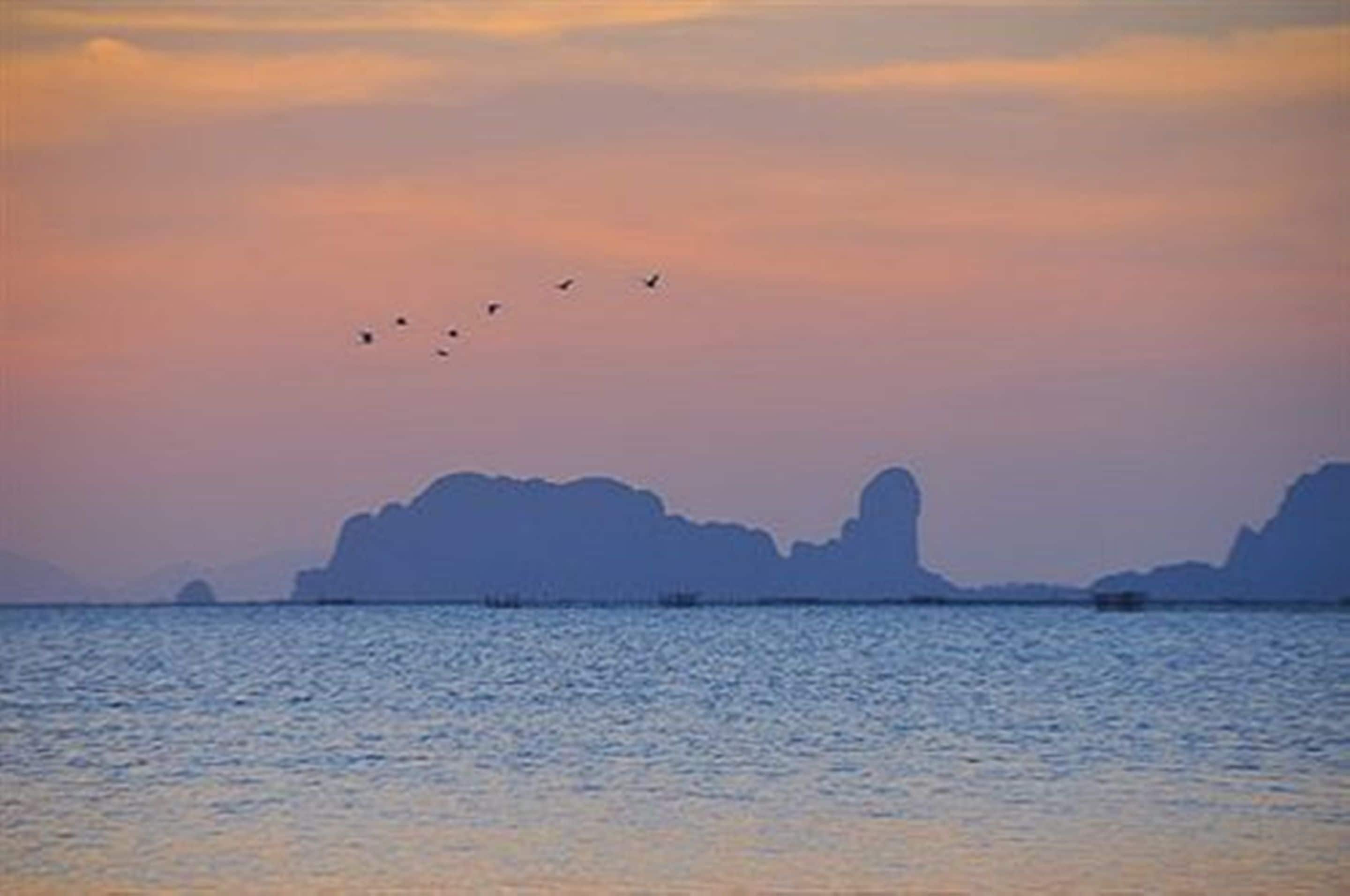 private beach, beach umbrellas, beach towels, beach massages