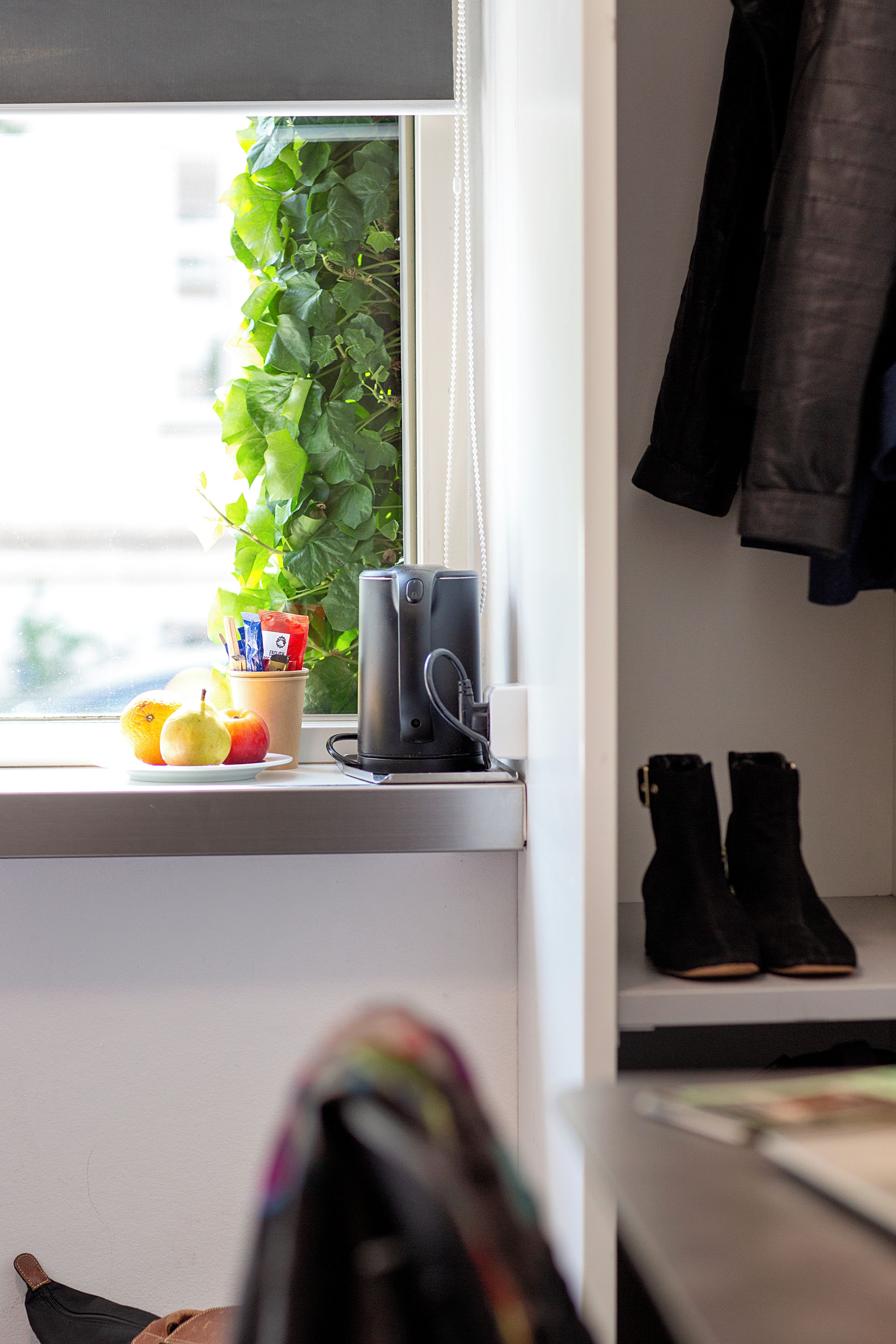 Un rebord de fenêtre avec une plante, une bouilloire et des fruits.