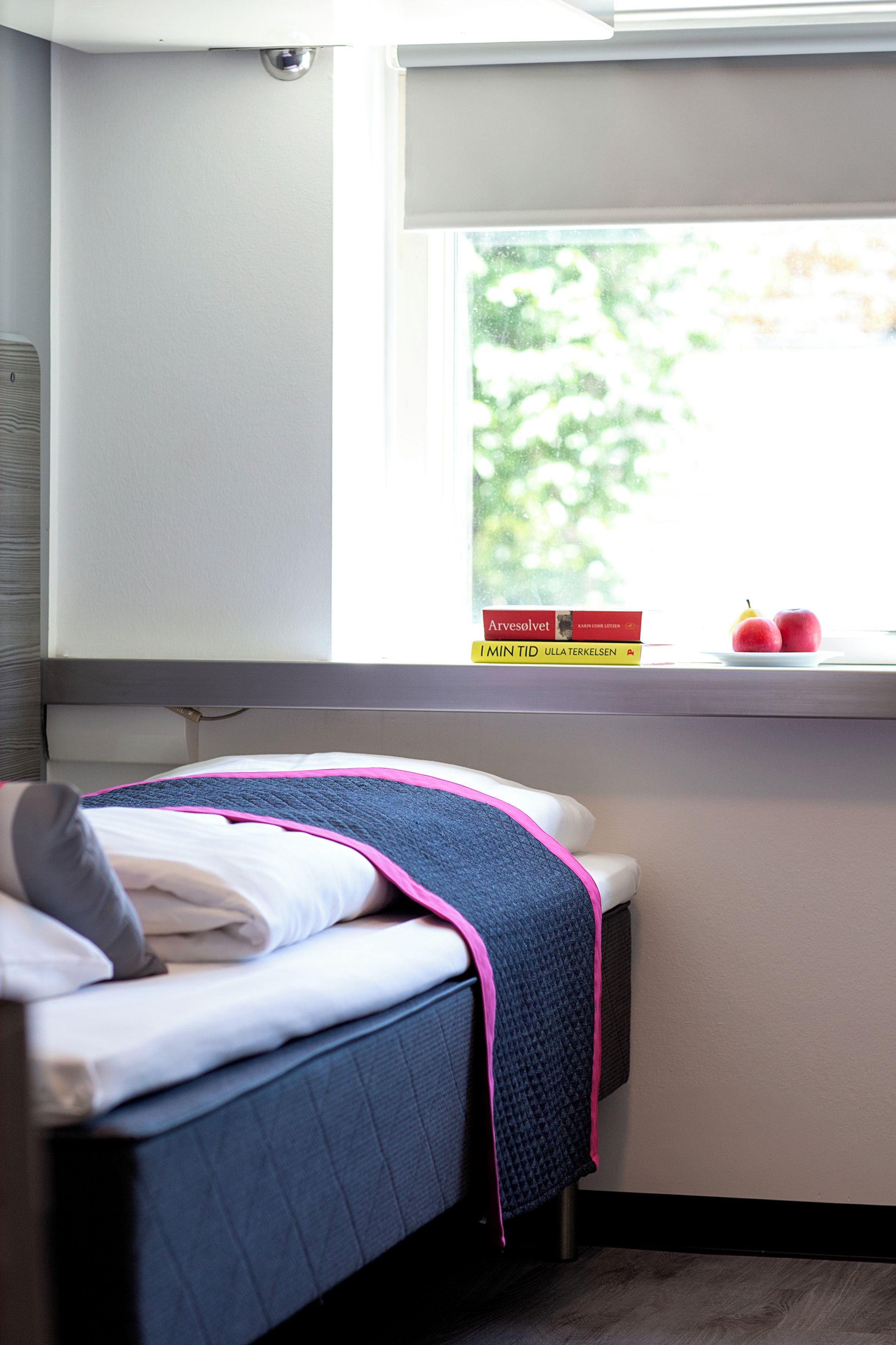 A bed with a blue quilt and pink trim, a window with a view of greenery, and two books on the windowsill.