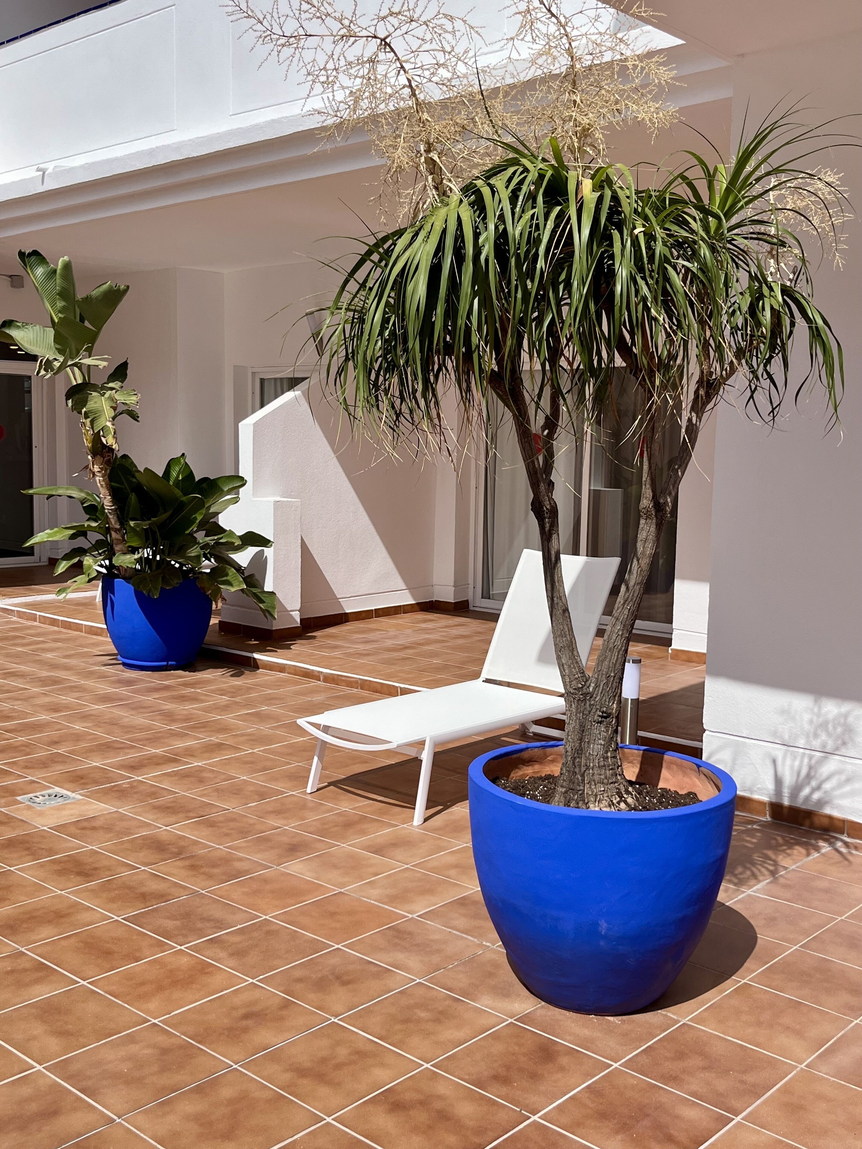 Un espace patio comprenant un fauteuil de jardin blanc, deux grands pots de plantes et un sol carrelé.