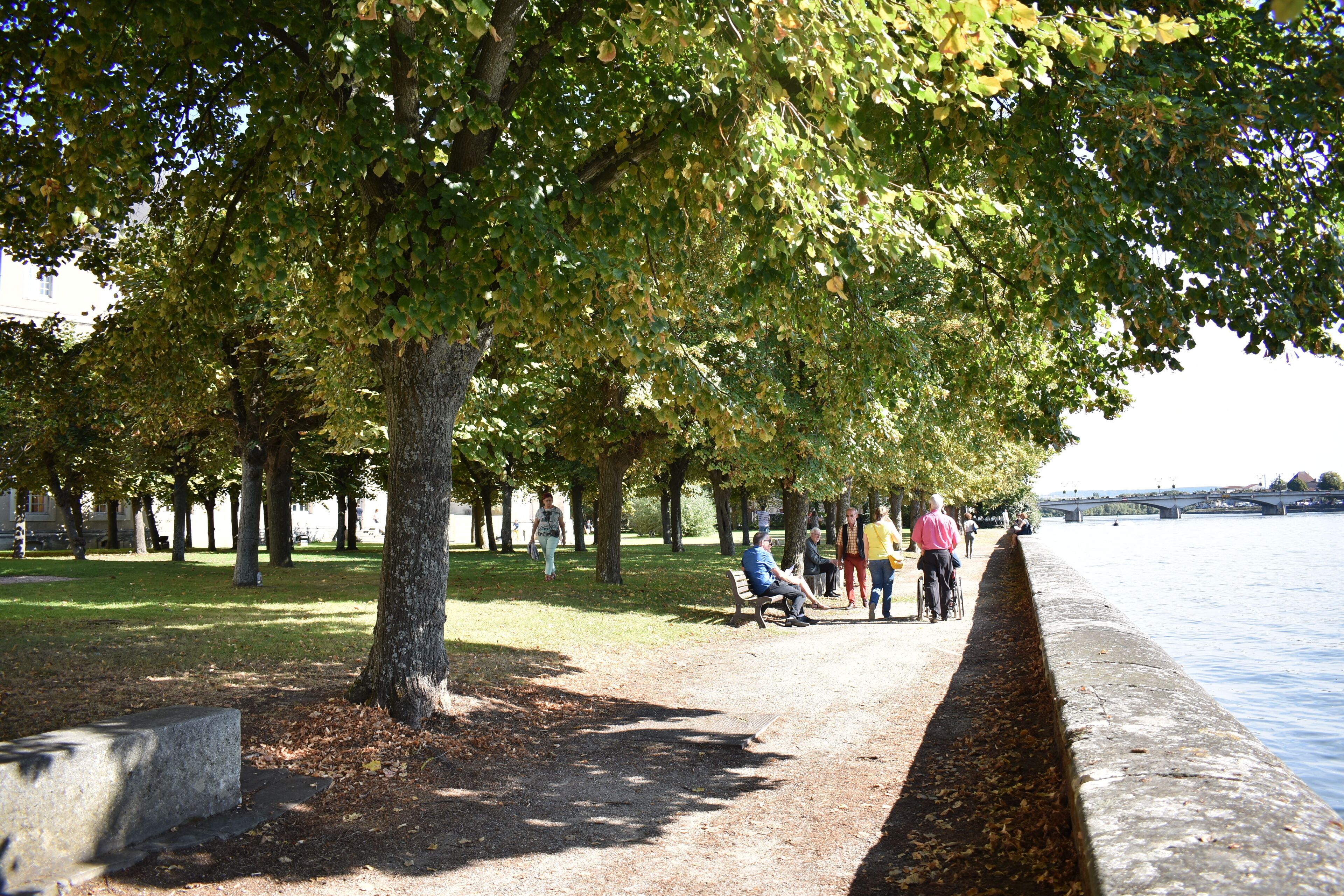 city view from property