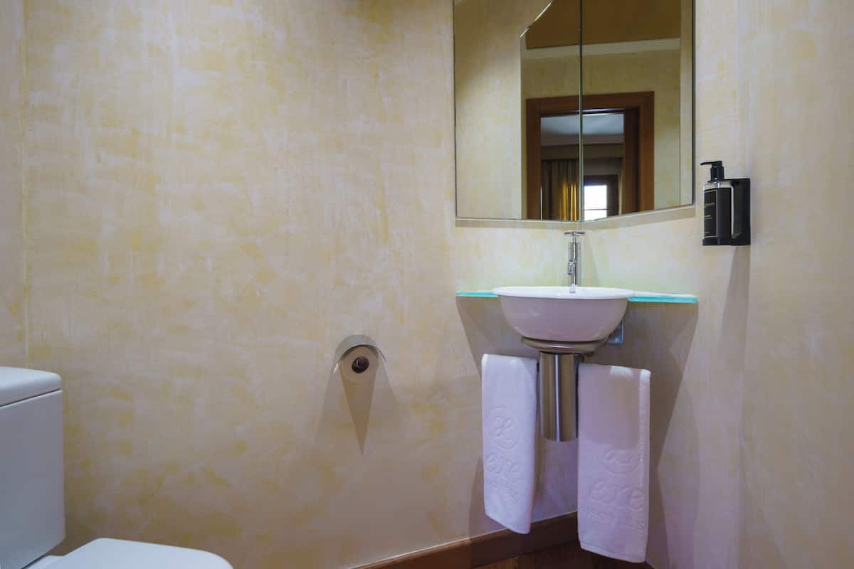 Combined shower/bathtub, free toiletries, hair dryer, bidet