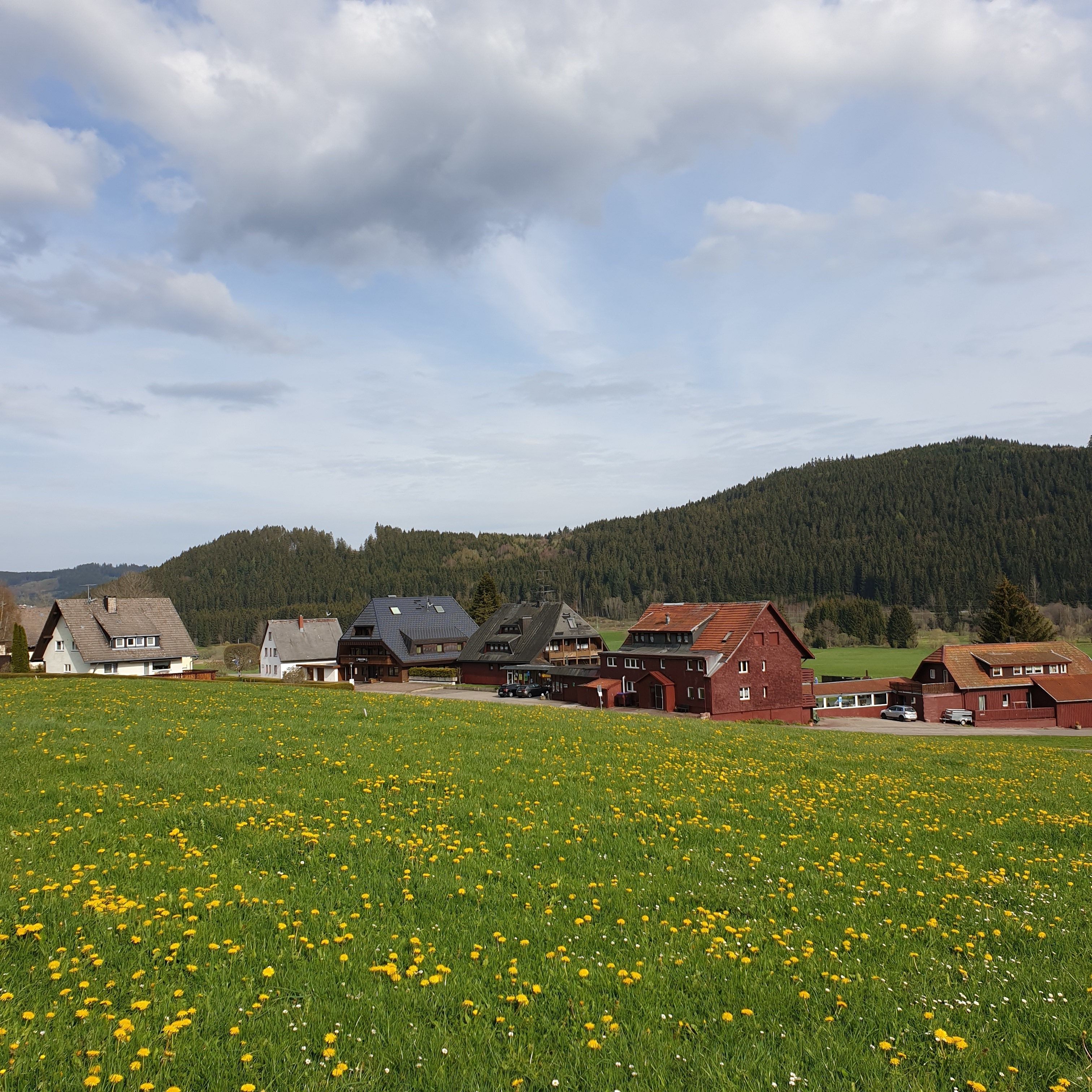 Een landelijk landschap met een veld vol gele bloemen op de voorgrond, een groep huizen met rode daken en een beboste heuvel in de verte.