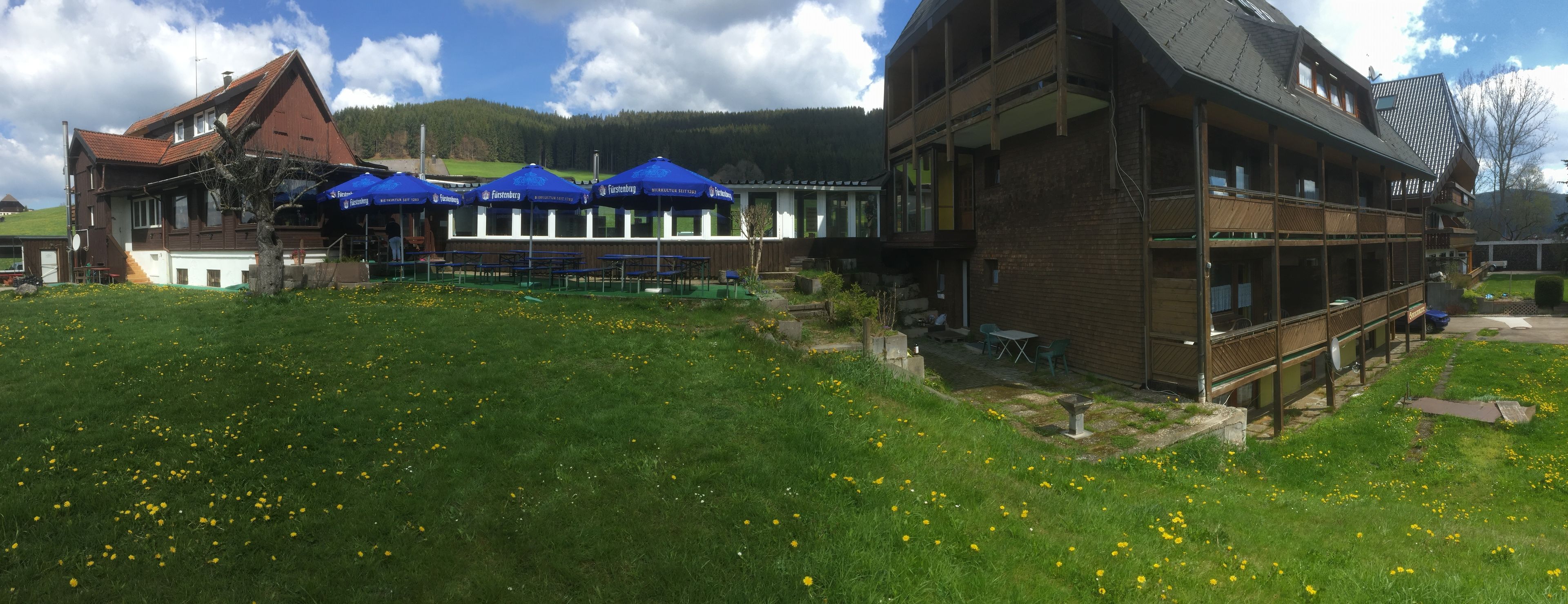A building with multiple windows and a balcony, surrounded by a grassy area with scattered yellow flowers.