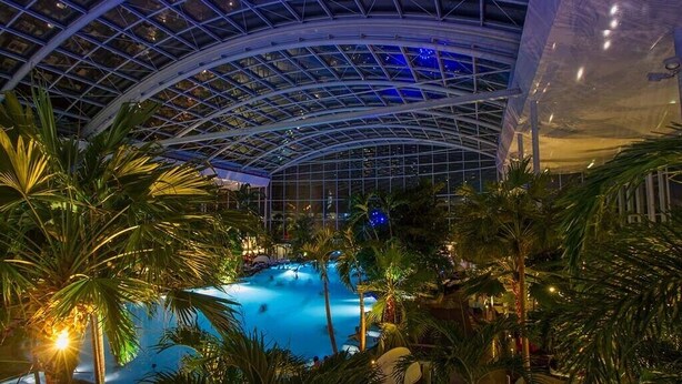 An indoor swimming pool with a glass ceiling, surrounded by palm trees and indoor plants. - B+B Hotel Sonnenmatte Near Badeparadies (Titisee-Neustadt)