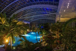 Piscina interior con techo de vidrio, rodeada de palmeras y plantas de interior.