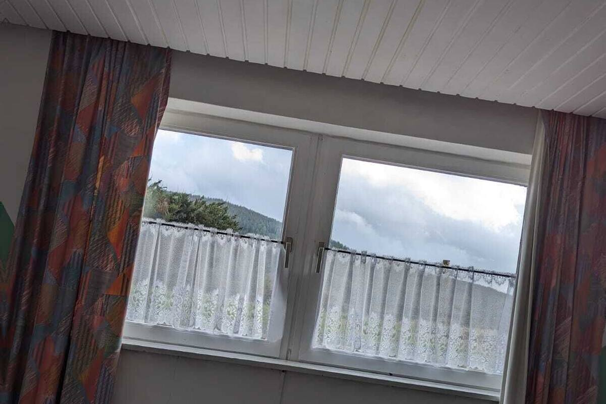A room with two windows, a radiator below, and patterned curtains.