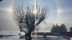 A snow-covered landscape with a bare tree in the foreground and a wooden fence in the background. - B+B Hotel Sonnenmatte Near Badeparadies (Titisee-Neustadt)