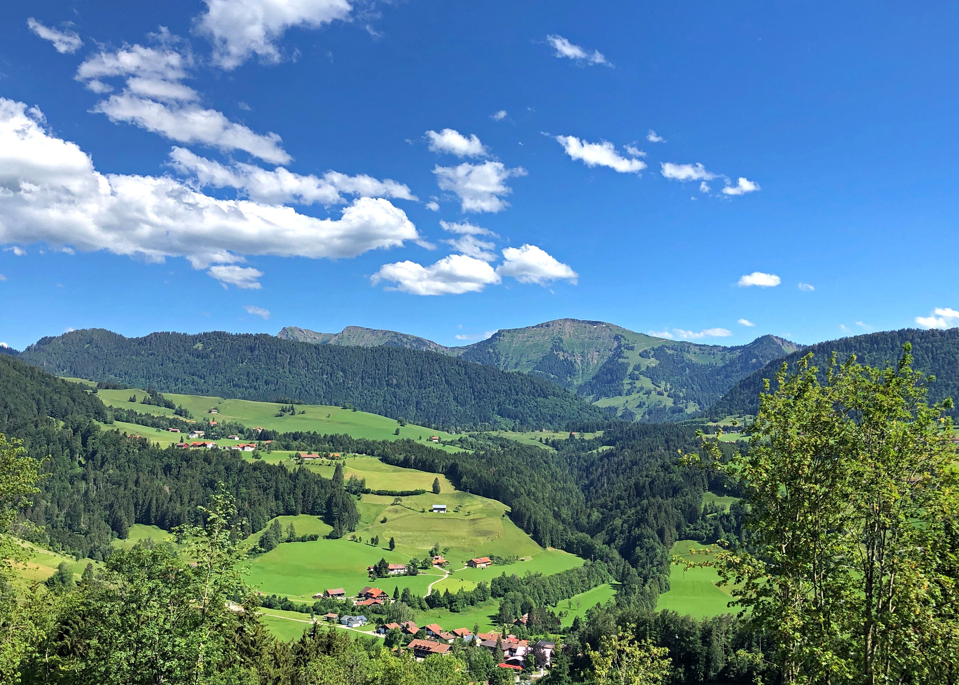 land view from property