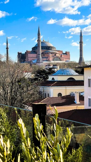 Un edificio histórico con dos minaretes y una cúpula, rodeado de edificaciones residenciales y vegetación.