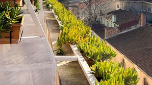 A balcony with potted plants and a view of a mosque with a dome and minaret. - Sude Konak Hotel - Special class (Istanbul)
