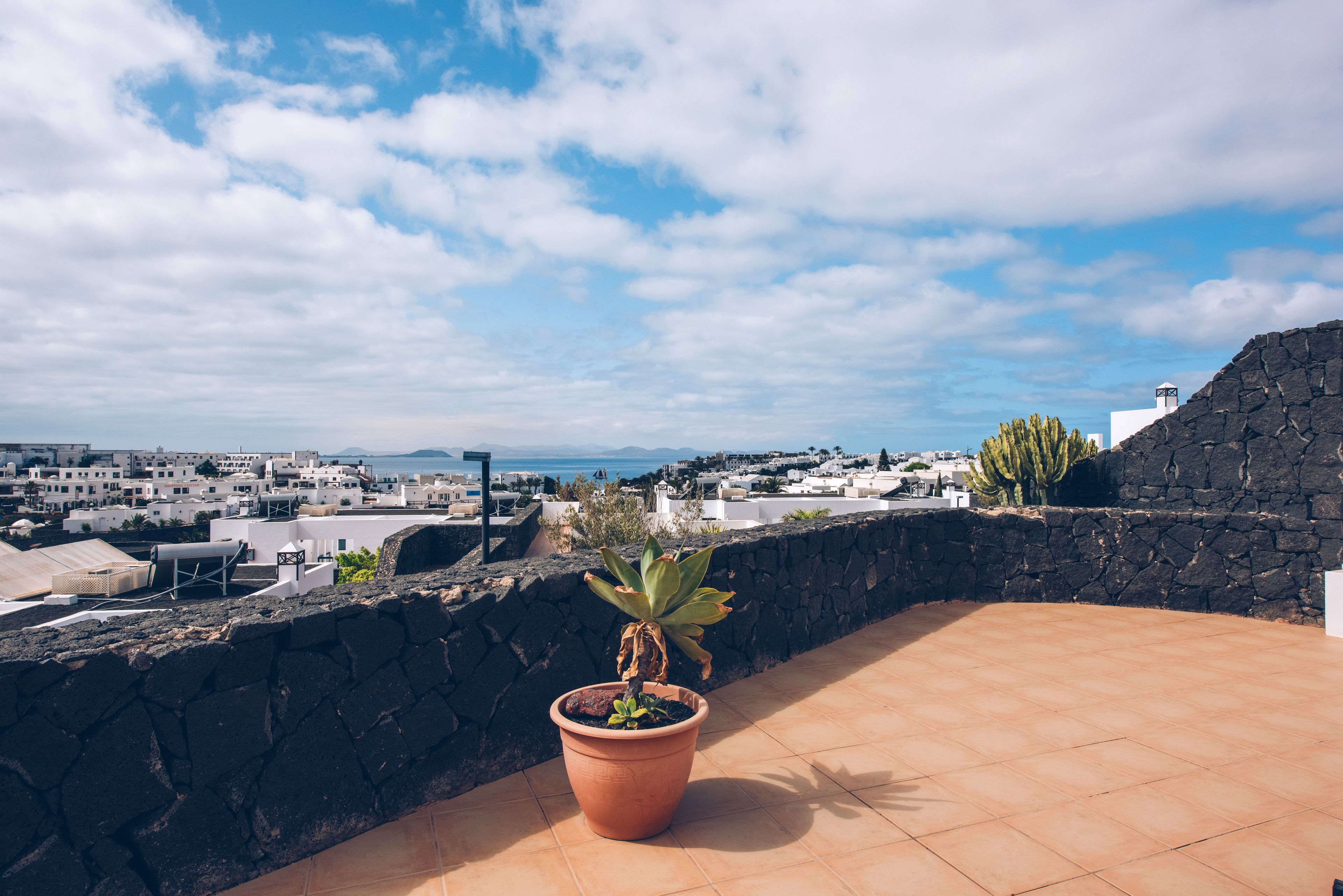 A potted plant on a tiled terrace overlooking a coastal town with white buildings and a clear sky.