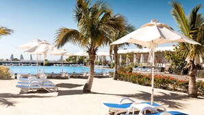 Un espace aménagé au bord de la piscine, avec des chaises longues et des parasols, des palmiers et un ciel d’un bleu limpide.