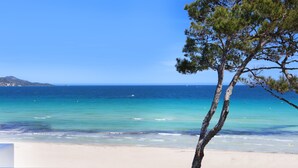 A beach with clear turquoise water, a sandy shore, and a pine tree in the foreground. - Iberostar Waves Alcudia Park (Muro)