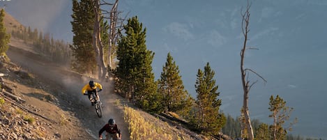 A mountain biking trail with rocky terrain and sparse vegetation.