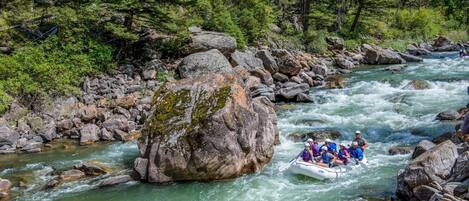 A group of people rafting down a river surrounded by large rocks and dense forest.