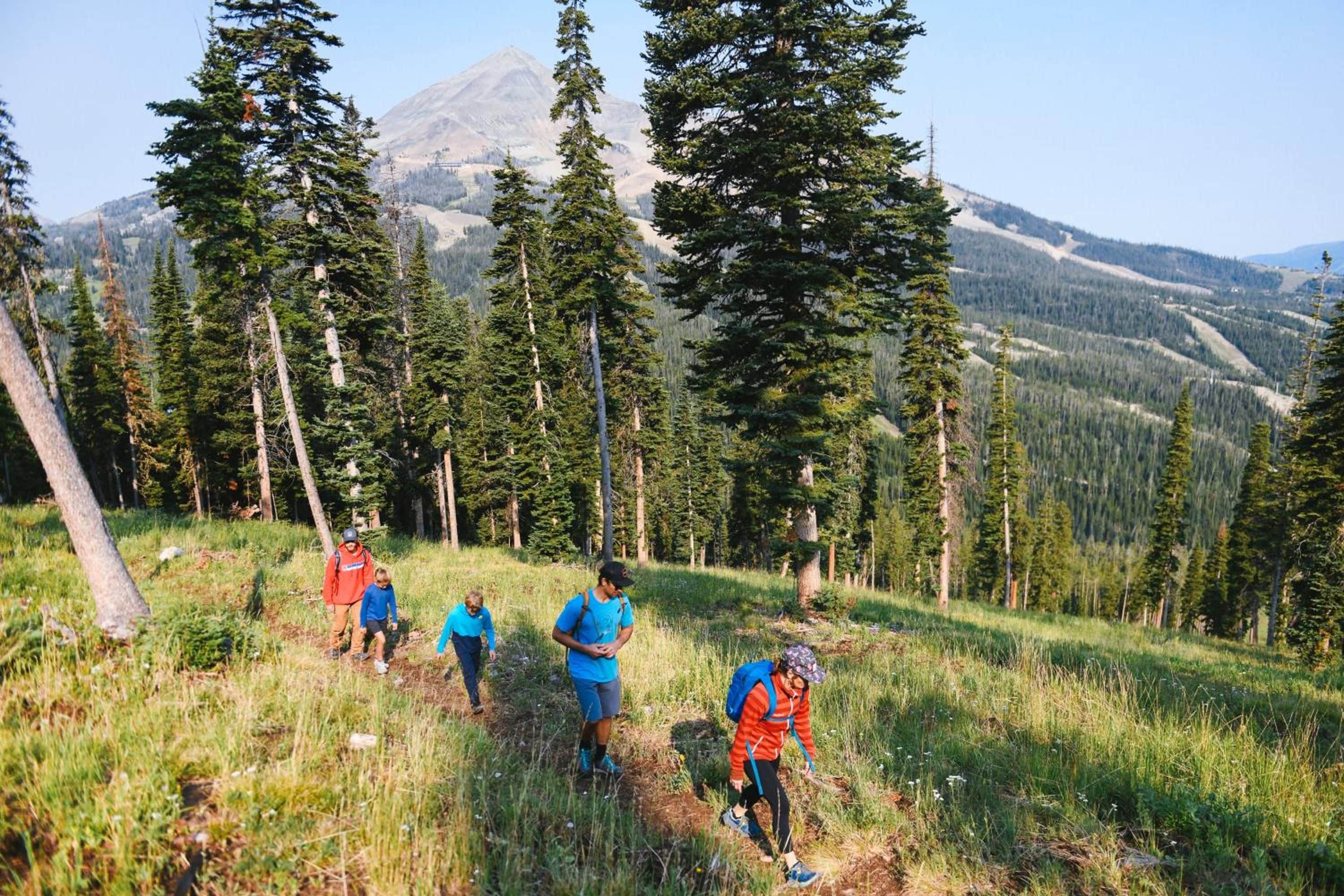 A group of people hiking on a grassy trail with a mountain in the background.