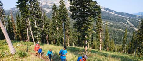 A group of people hiking on a grassy trail with a mountain in the background.