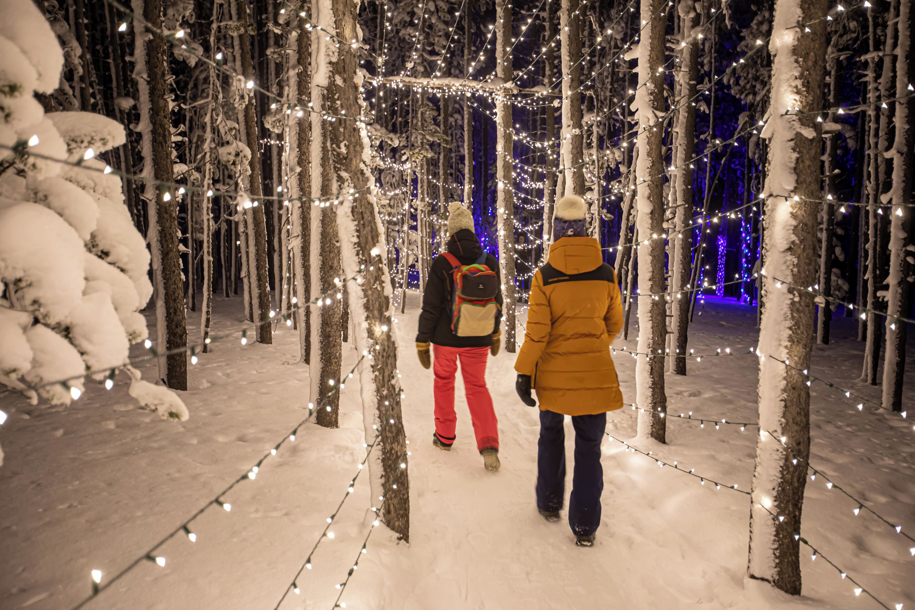 Un sendero nevado en un bosque con luces colgantes.