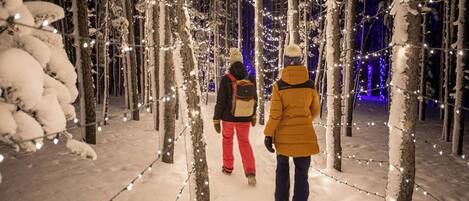 Un sendero nevado en un bosque con luces colgantes.