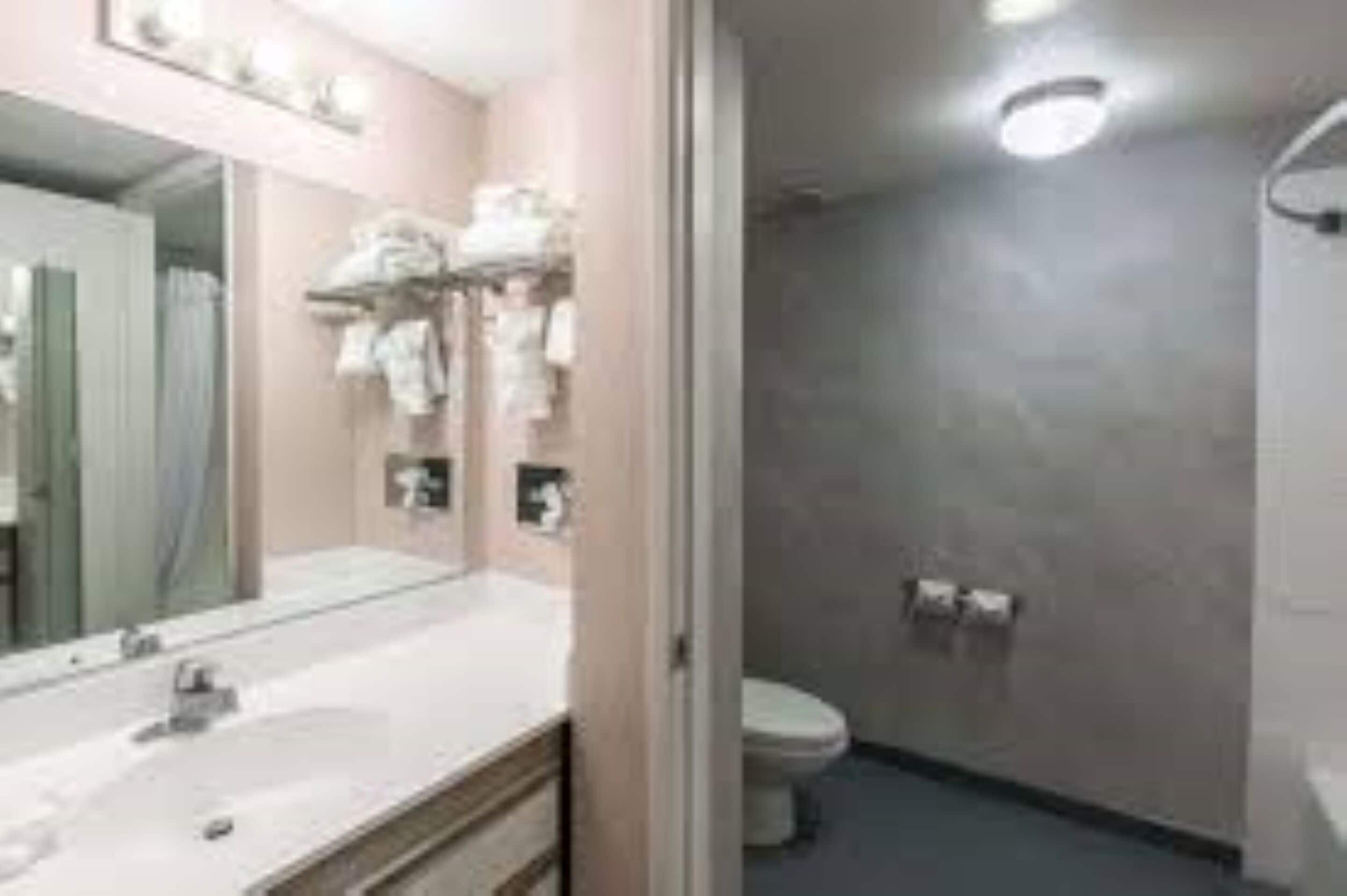 淋浴/浴缸二合一、免費盥洗用品、毛巾