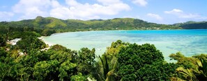 View from property - Le Jardin Des Palmes (Mahé Island)