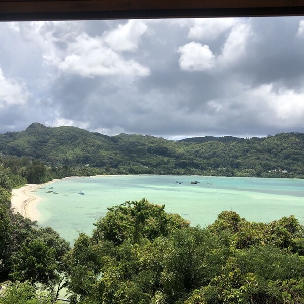 Property grounds - Le Jardin Des Palmes (Mahé Island)