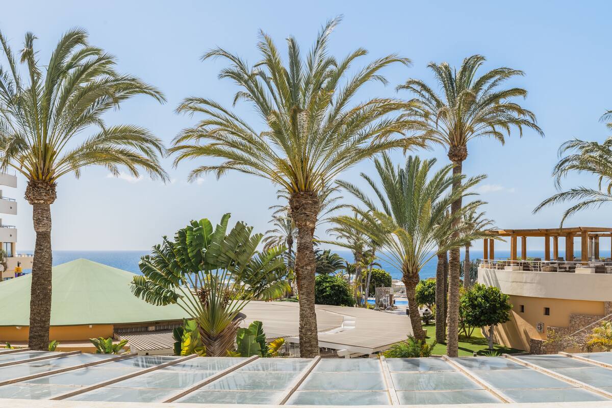 premium bedding, in-room safe, individually decorated