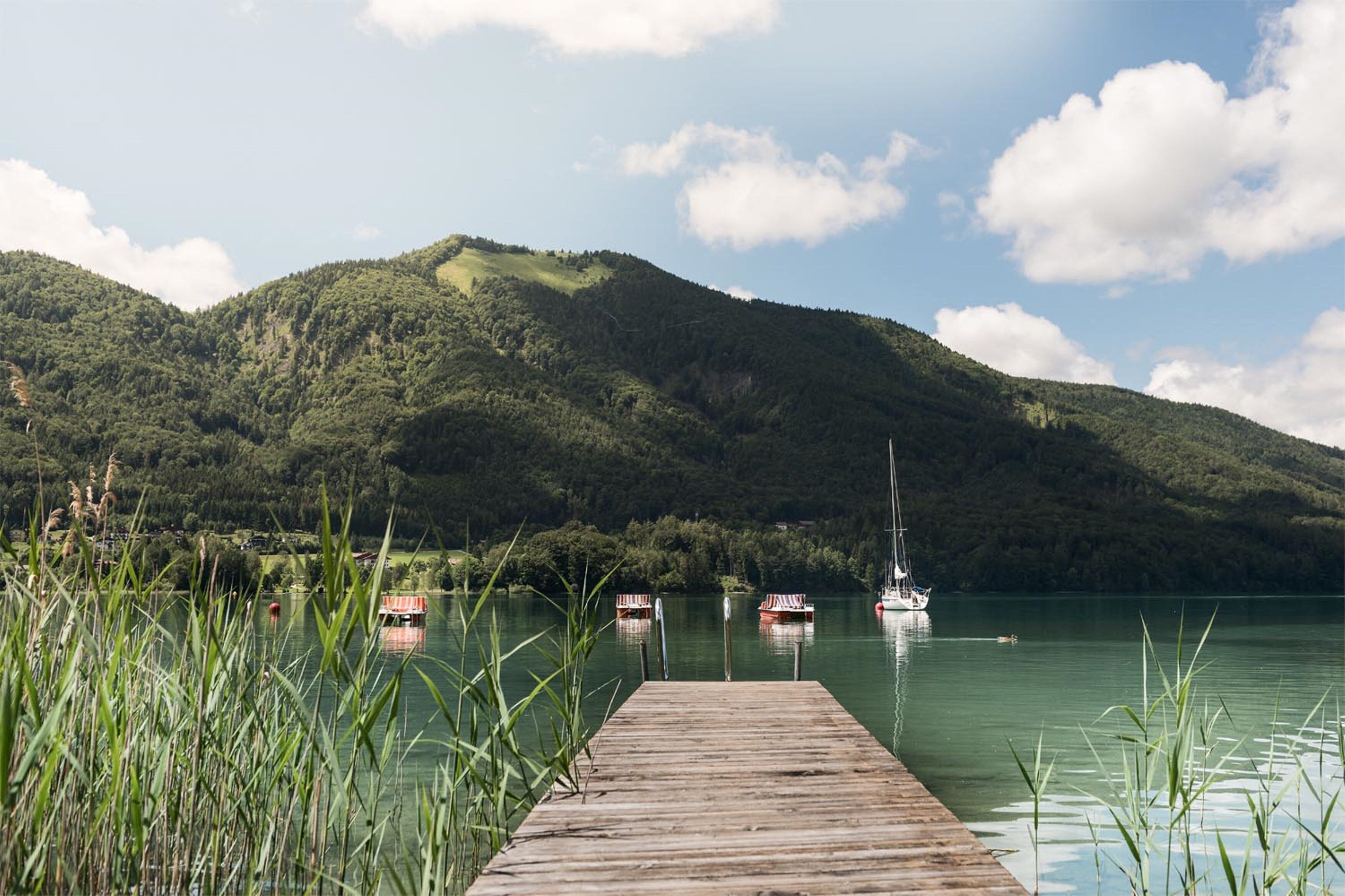 Un muelle de madera se extiende sobre un lago tranquilo con barcos, rodeado de colinas verdes y frondosas.