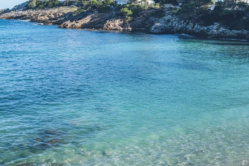 Iberostar Waves Pinos Park