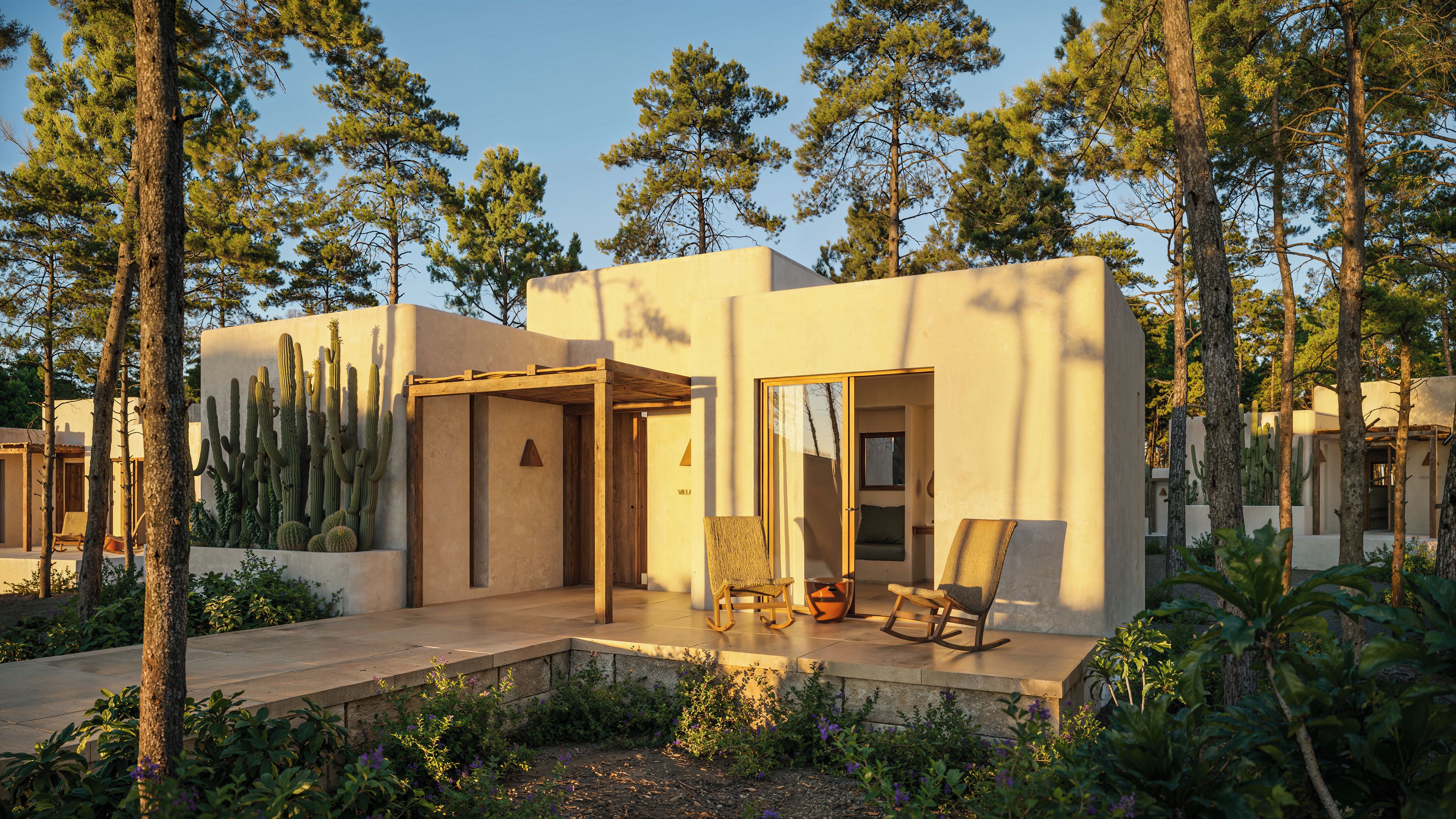 Un bâtiment moderne doté d’un patio, entouré de cactus et d’arbres.