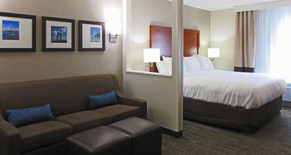 Comfort Inn & Suites Brunswick I-95