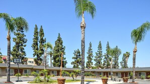 A motel with multiple rooms, a basketball court, and several palm trees.