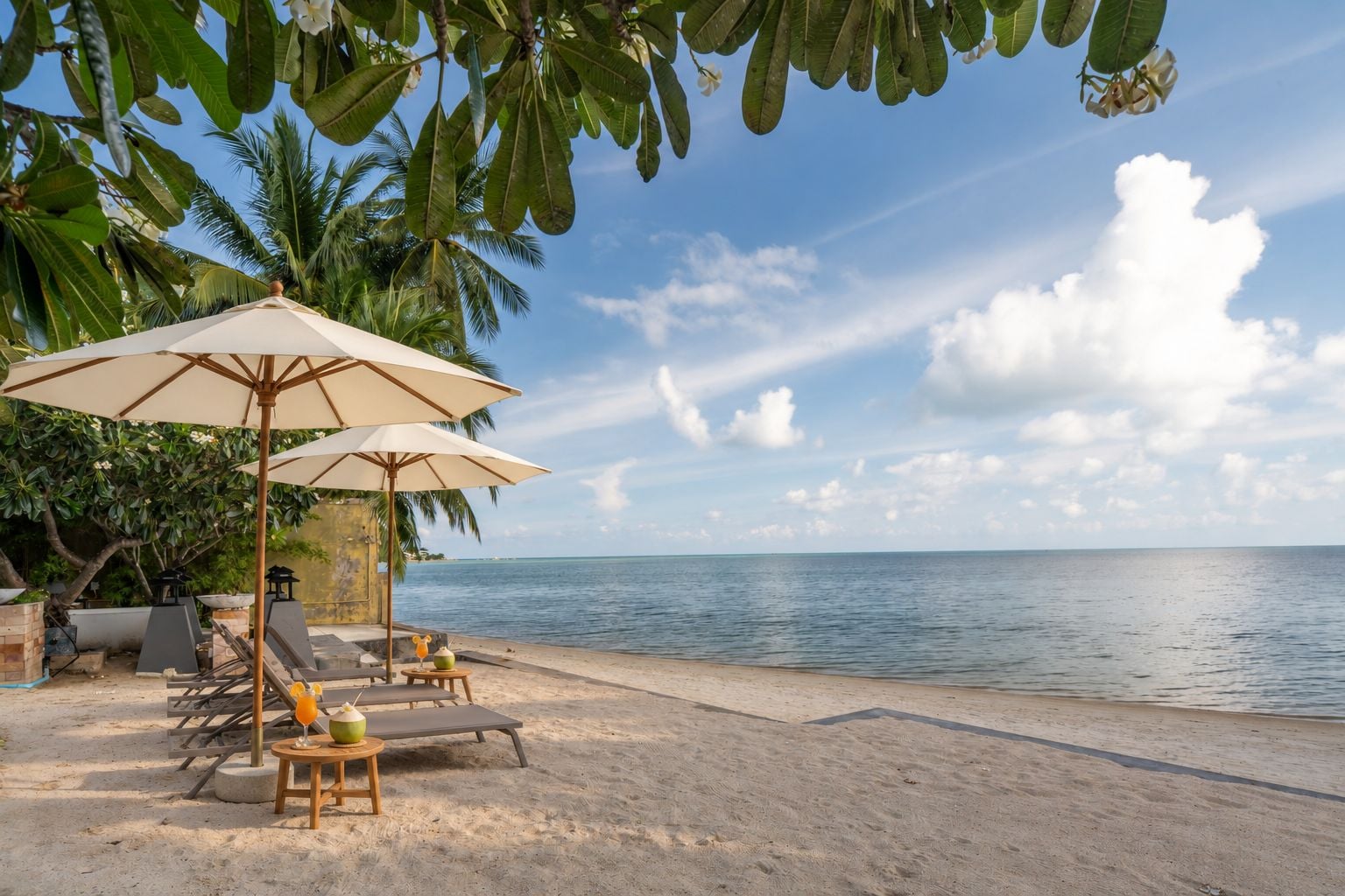 Une plage avec des parasols, des chaises longues et une vue sur la mer.