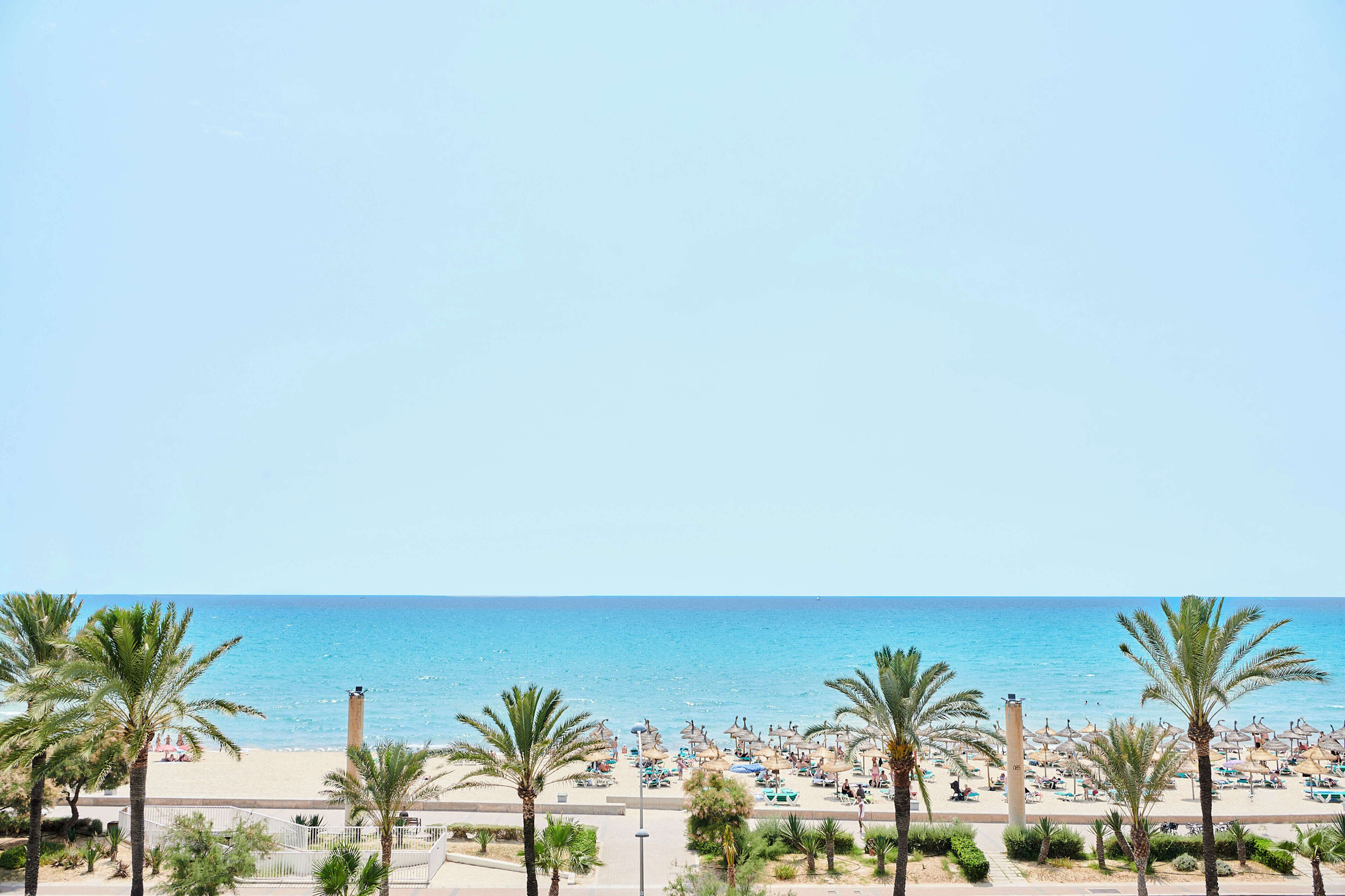 Ein Strand mit Palmen, Sonnenschirmen und blauem Himmel.