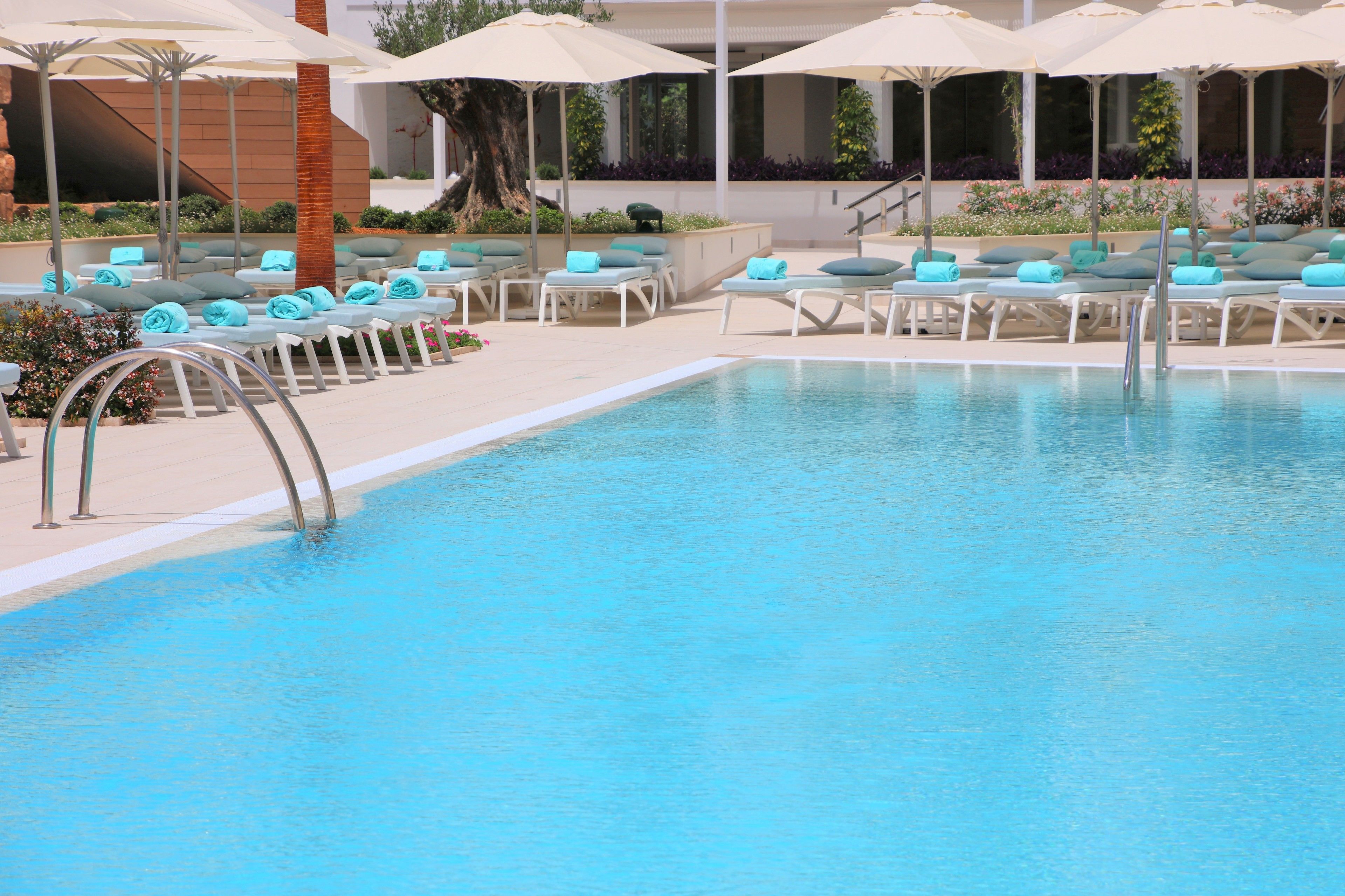 Un área de piscina con sillones de descanso y sombrillas, una piscina cristalina y un edificio moderno al fondo.