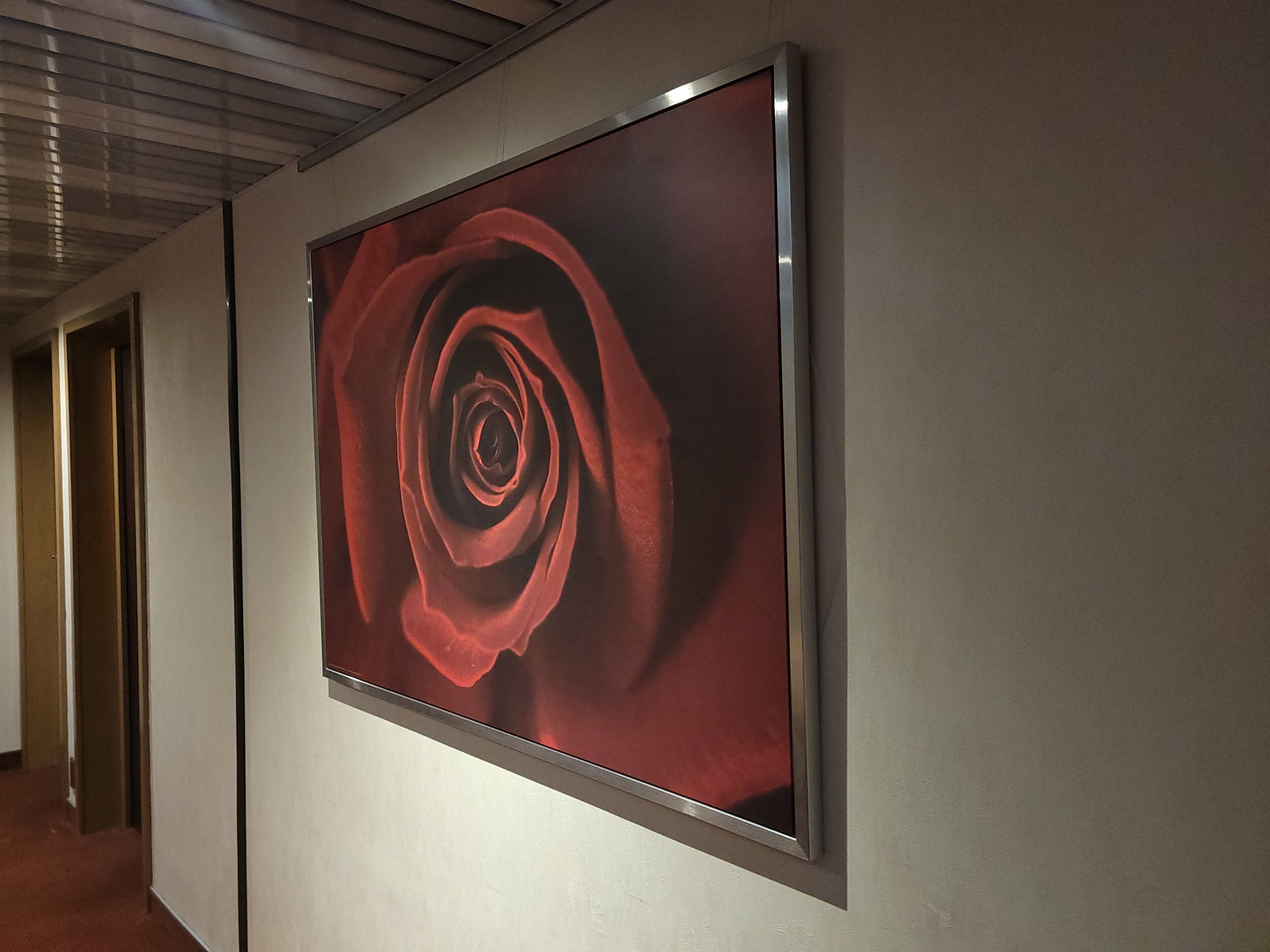 handrails in hallways