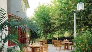 An outdoor patio area with wooden tables and chairs, surrounded by lush greenery and a building with a red door.