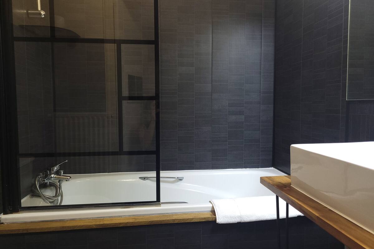 combined shower/bathtub, hydromassage showerhead, hair dryer, towels