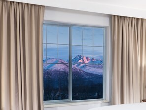 Mountain view - Embassy Suites by Hilton Anchorage (Anchorage)
