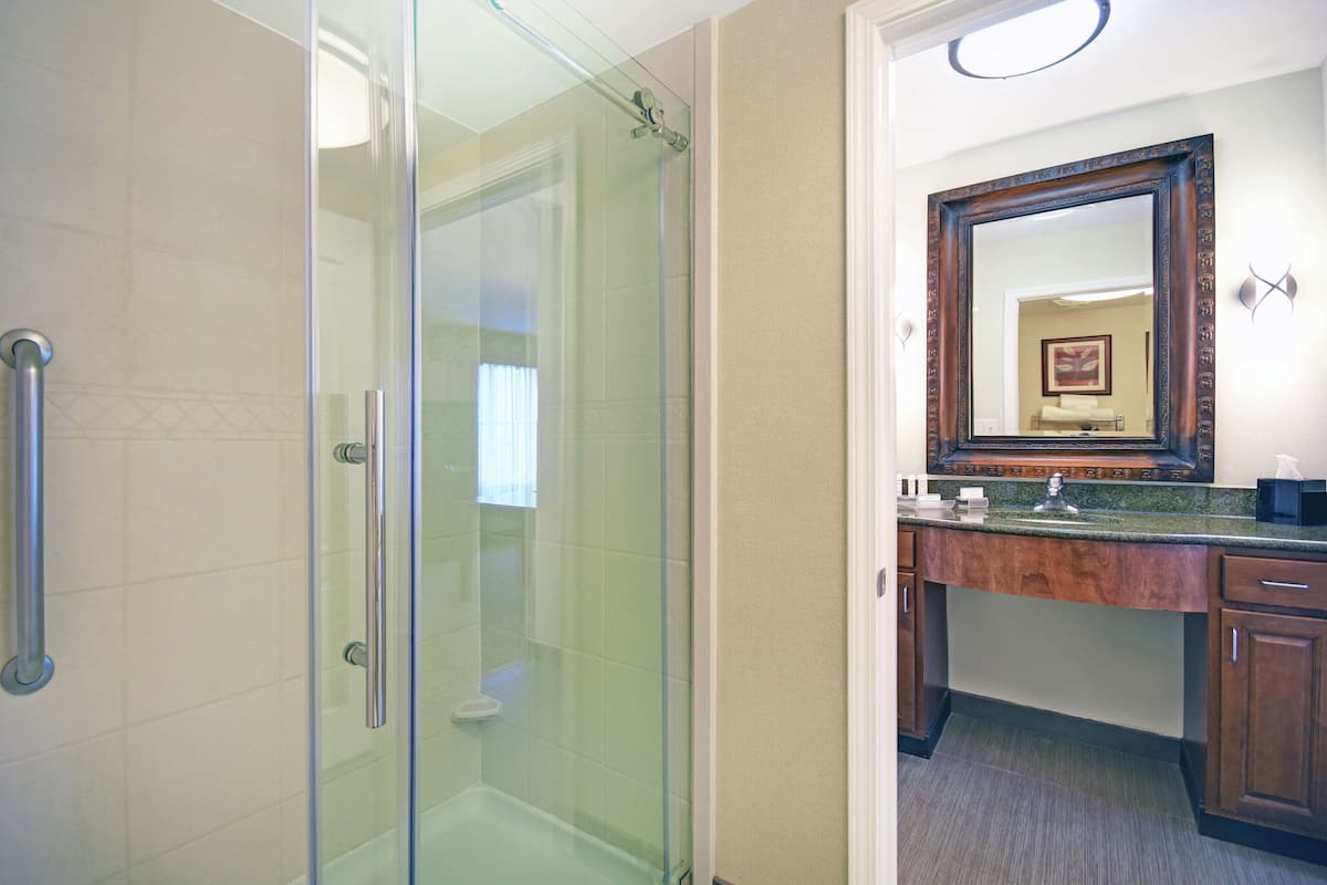 studio suite, 1 king bed | bathroom shower