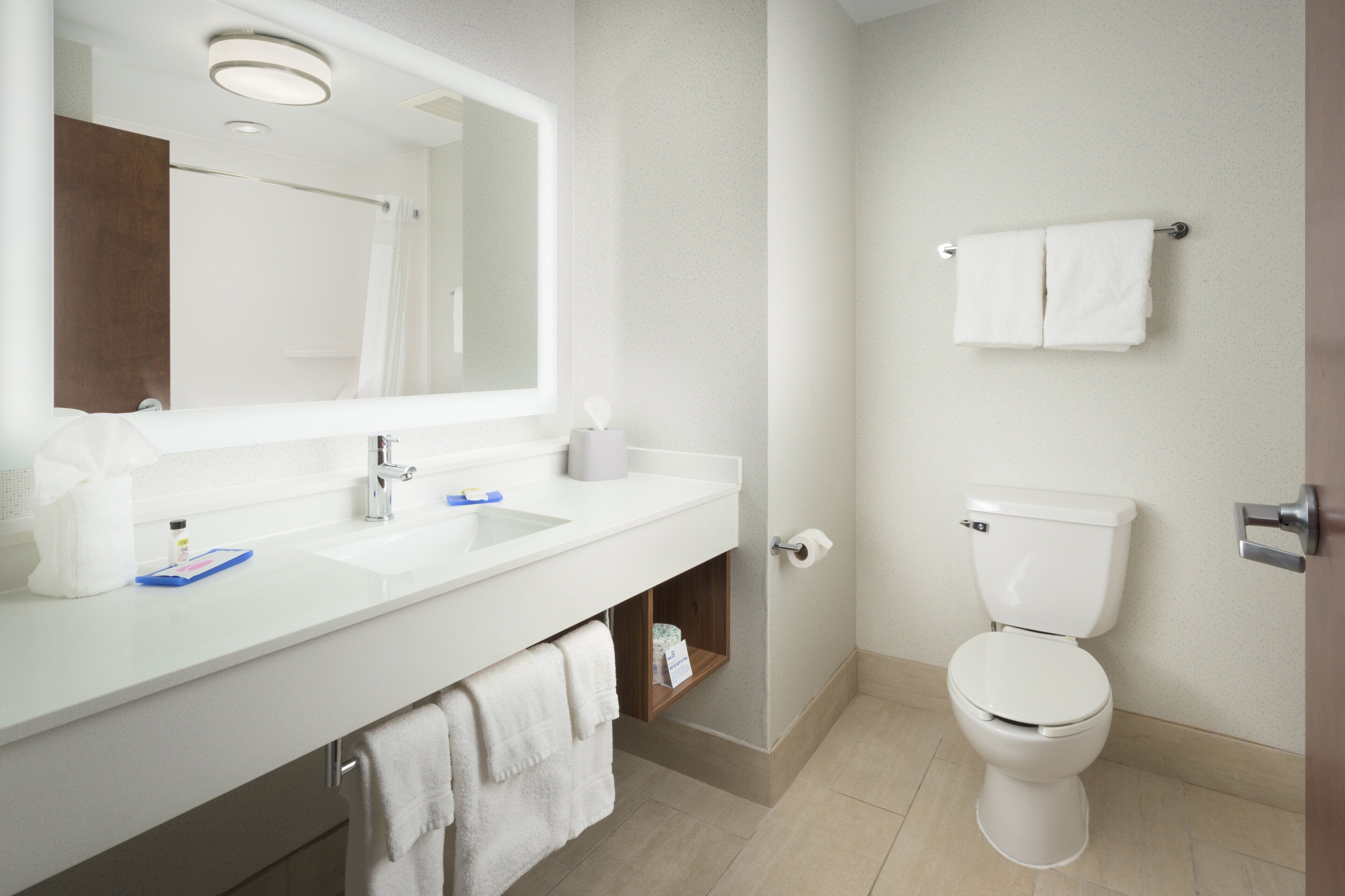 combined shower/bathtub, free toiletries, hair dryer, towels