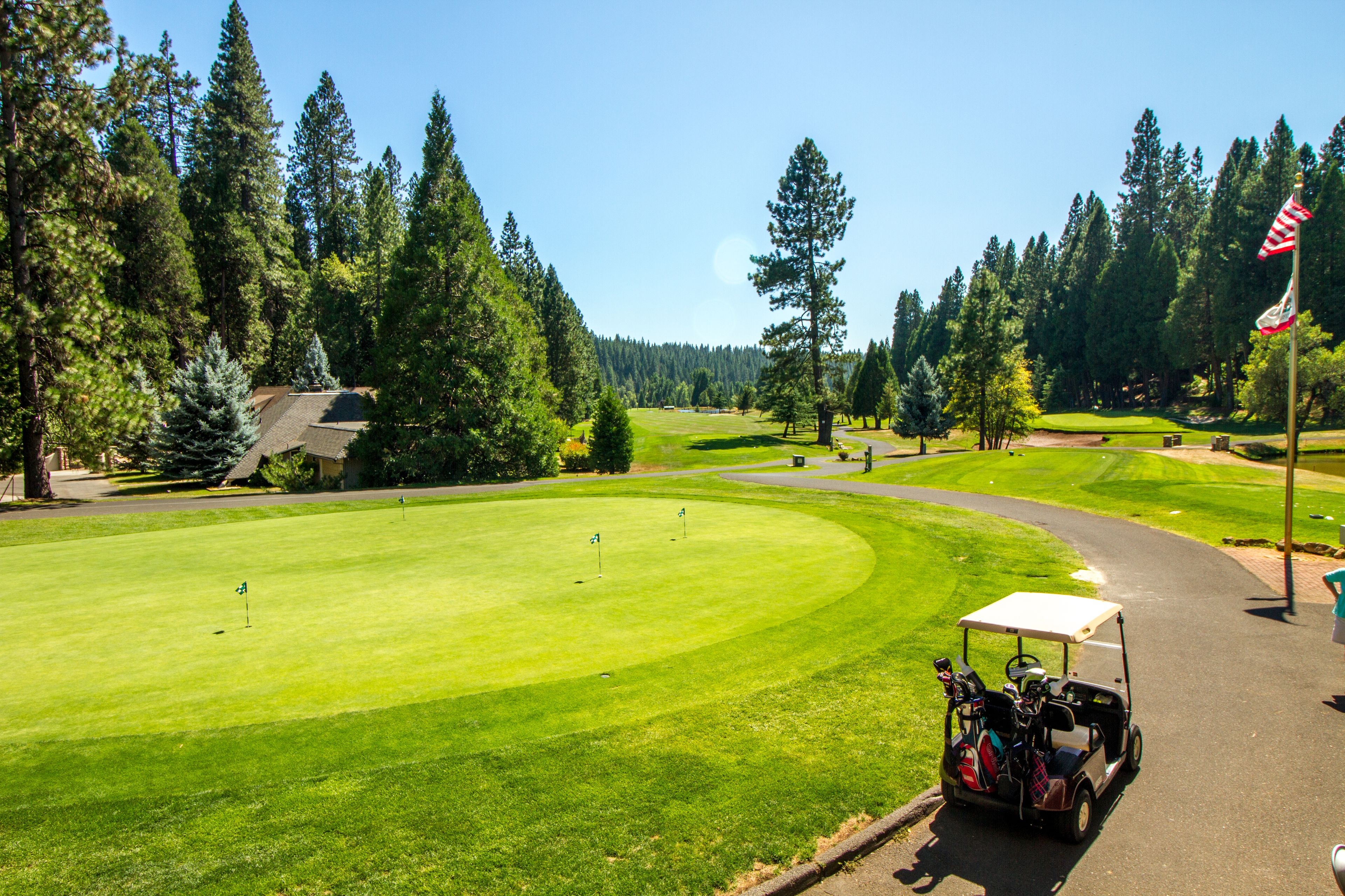 A golf course with a golf cart, trees, and a flag.