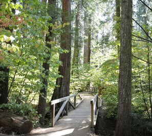 Hiking - Mountain Retreat Resort (Arnold)